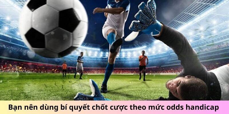 Bạn nên dùng bí quyết chốt kèo châu Âu theo mức odds handicap